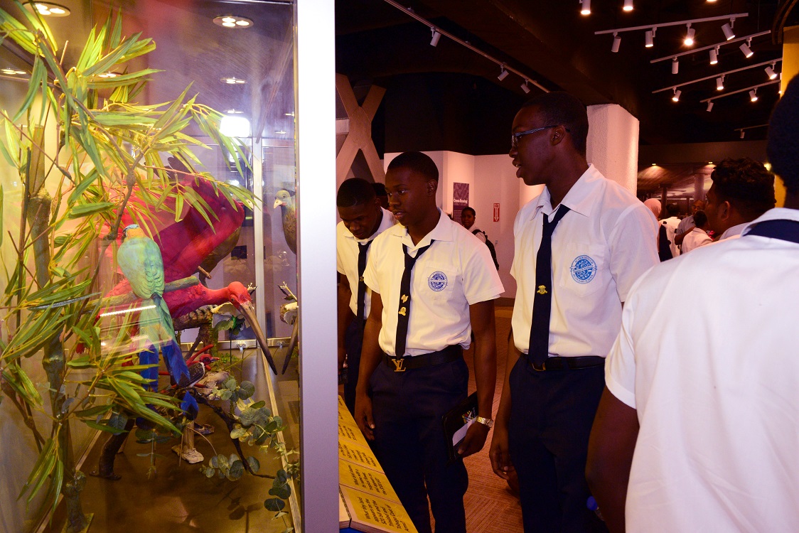 Launch of the Central Bank Museum