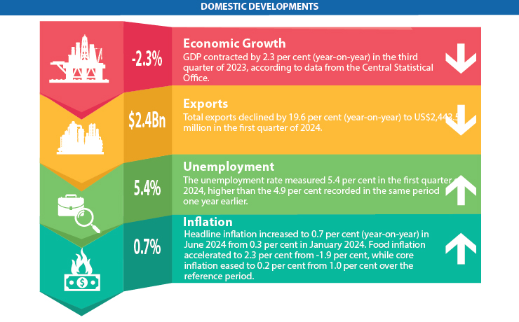 Domestic Developments